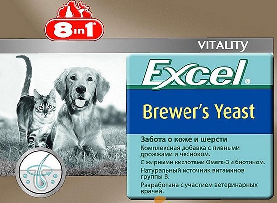 Витамины для кошек уколы – 9 лучших витаминов для котят и кошек с ...